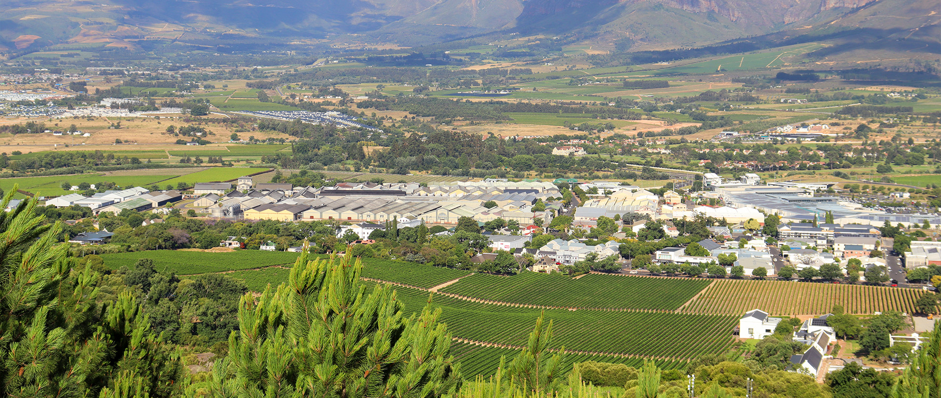 Why You Should Invest in South Africa's Winelands: The Pearl of the Paarl