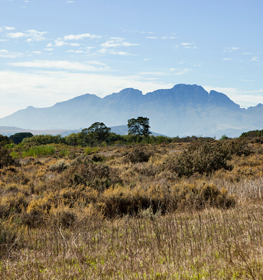 Mountain views surrounding Avec la Terre luxury estate in Paarl